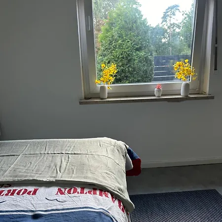 Pader Mit Wlan Und Free Parking Apartment Paderborn